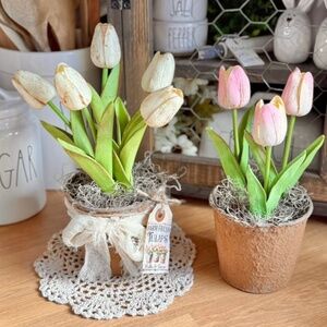 Primitive Spring Tulips Set